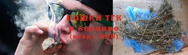 ГАЛЛЮЦИНОГЕННЫЕ ГРИБЫ Костерёво
