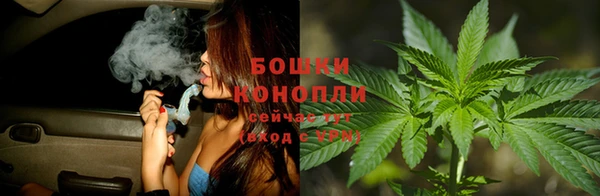 ГАЛЛЮЦИНОГЕННЫЕ ГРИБЫ Костерёво