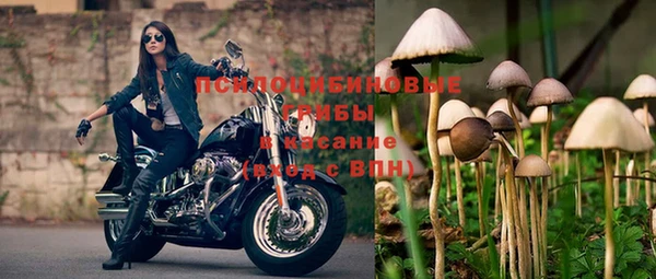 ГАЛЛЮЦИНОГЕННЫЕ ГРИБЫ Костерёво