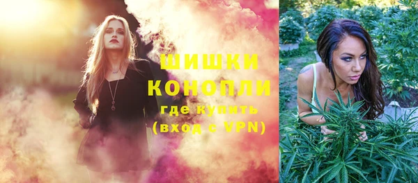 ГАЛЛЮЦИНОГЕННЫЕ ГРИБЫ Костерёво
