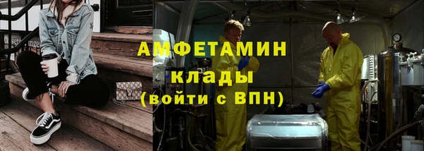 ГАЛЛЮЦИНОГЕННЫЕ ГРИБЫ Костерёво